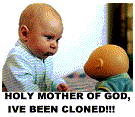 baby.gif