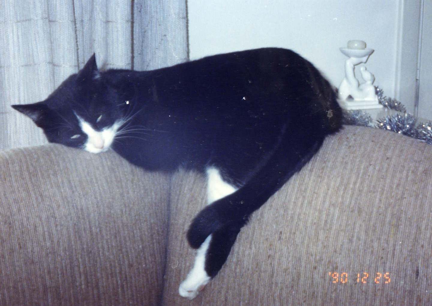 file0072.jpg