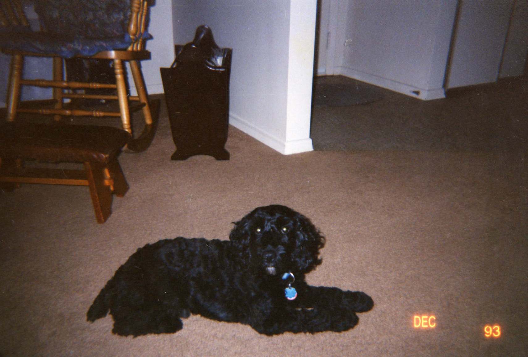 file0077.jpg